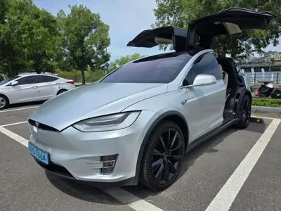 Tesla Model X · 2020 год