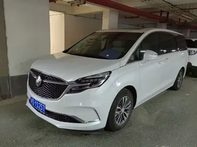 Buick GL8 · 2020 год