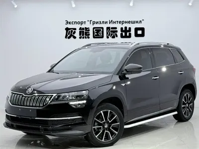 Skoda Karoq · 2022 год