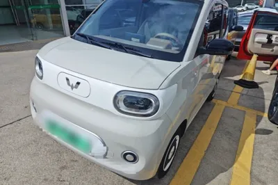 Wuling Hongguang MINIEV · 2024 год