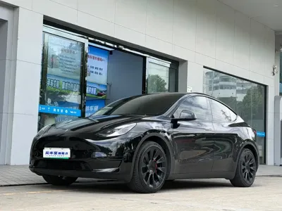Tesla Model Y · 2022 год