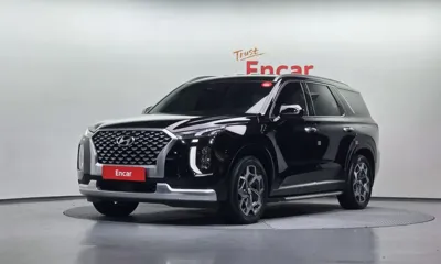 Hyundai Palisade · 2022 год
