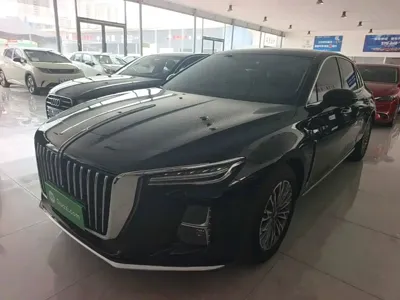Hongqi Hongqi H5 · 2024 год