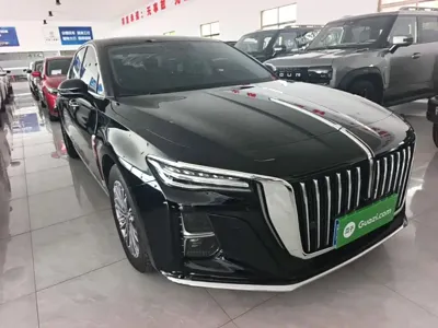 Hongqi Hongqi H5 2024, 48800 км, за 14542.56 USD