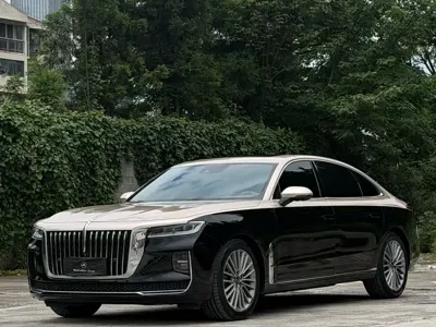 Hongqi Hongqi H9 · 2020 год