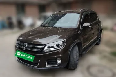 Volkswagen Tiguan · 2015 год