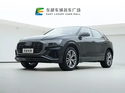 Audi Q8 · 2023 год