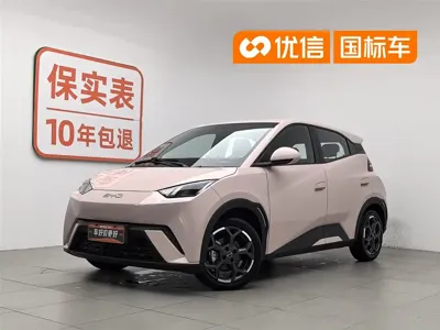 BYD Seagull · 2024 год