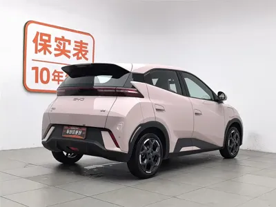 BYD Seagull 2024, 23800 км, за 8248.56 USD