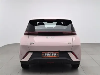 BYD Seagull 2024, 23800 км, за 8248.56 USD