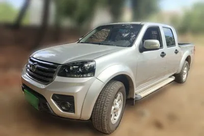 Great Wall Wingle 5 · 2020 год