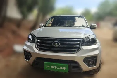 Great Wall Wingle 5 2020, 81600 км, за 10952 USD