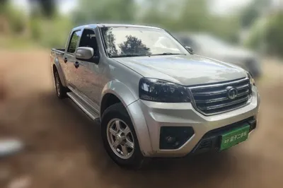 Great Wall Wingle 5 2020, 81600 км, за 10952 USD