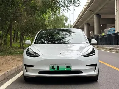 Tesla Model 3 2020, 72000 км, за 14608.35 USD
