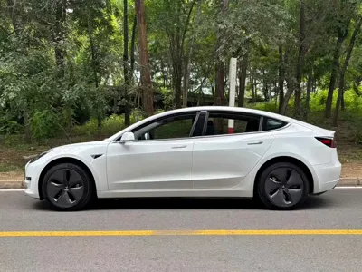 Tesla Model 3 2020, 72000 км, за 14608.35 USD