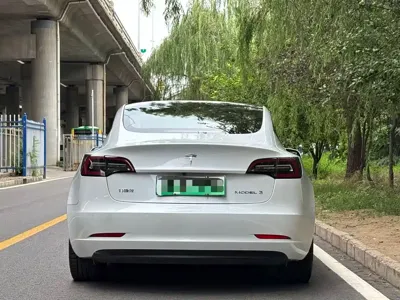 Tesla Model 3 2020, 72000 км, за 14608.35 USD