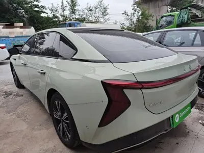Hongqi Hongqi EH7 2024, 11900 км, за 18648.94 USD