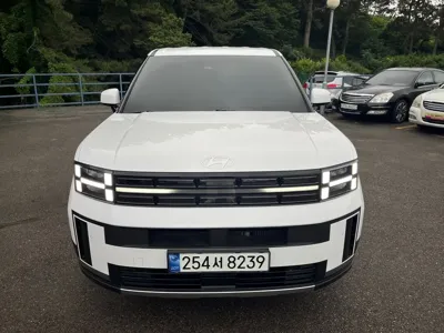 Hyundai Santafe · 2024 год
