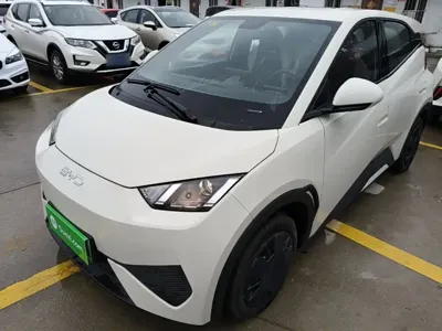 BYD Seagull · 2026 год