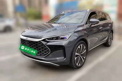BYD Tang New Energy · 2022 год
