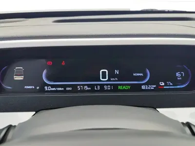 Galaxy Panda 2025, 5699 км, за 5546.26 USD - фото 14