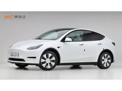 Tesla Model Y · 2023 год