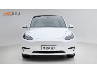 Tesla Model Y 2023, 22000 км, за 26191.37 USD