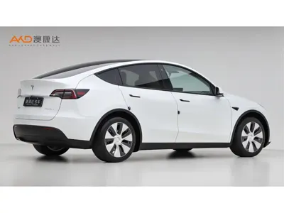 Tesla Model Y 2023, 22000 км, за 26191.37 USD