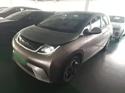 BYD Dolphin · 2021 год