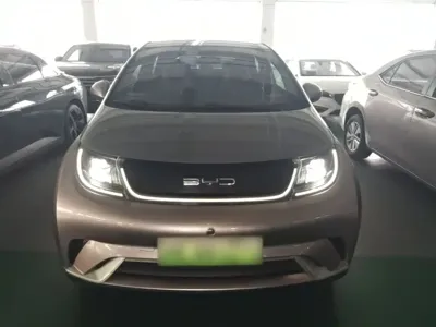 BYD Dolphin 2021, 30400 км, за 8691.23 USD