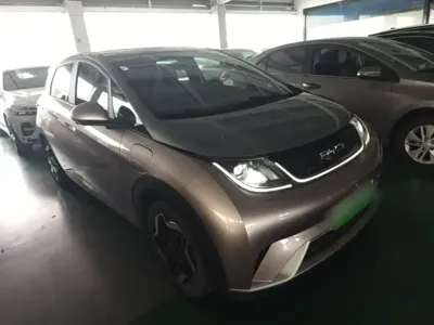 BYD Dolphin 2021, 30400 км, за 8691.23 USD