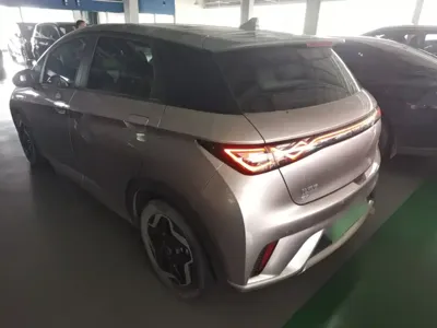 BYD Dolphin 2021, 30400 км, за 8691.23 USD