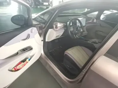 BYD Dolphin 2021, 30400 км, за 8678.48 USD - фото 16