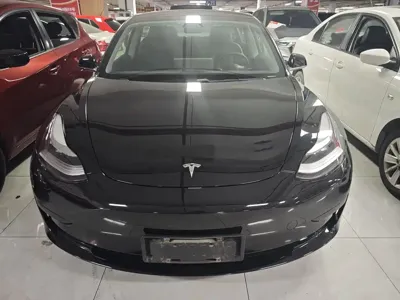 Tesla Model 3 2020, 96000 км, за 14426.54 USD