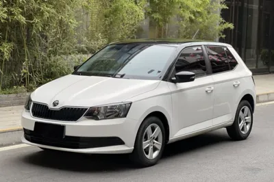 Skoda Fabia · 2017 год