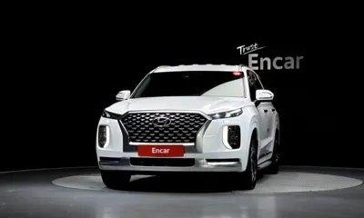 Hyundai Palisade 2021, 122974 км, за 15352.6 USD