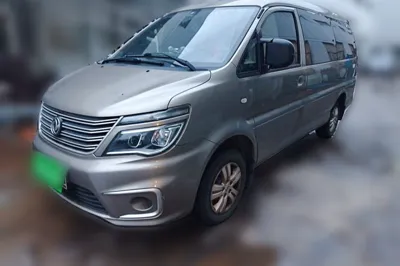 Forthing Lingzhi · 2019 год