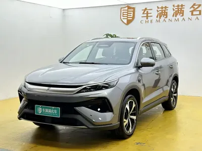 BYD Pro New Energy · 2026 год