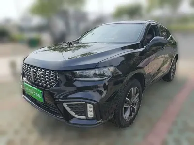 WEY Wey VV5 · 2021 год