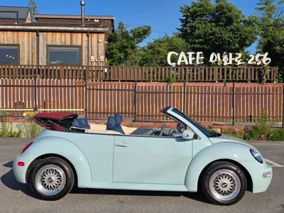 Volkswagen Beatle · 2004 год