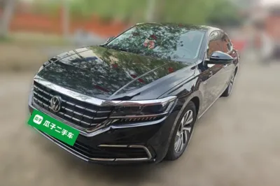 Volkswagen Passat New Energy · 2020 год