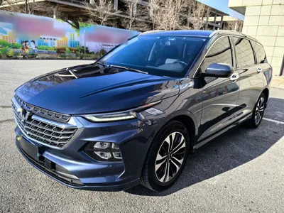 Wuling Victory · 2020 год