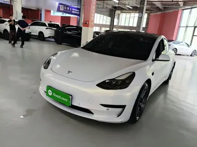 Tesla Model 3 · 2021 год