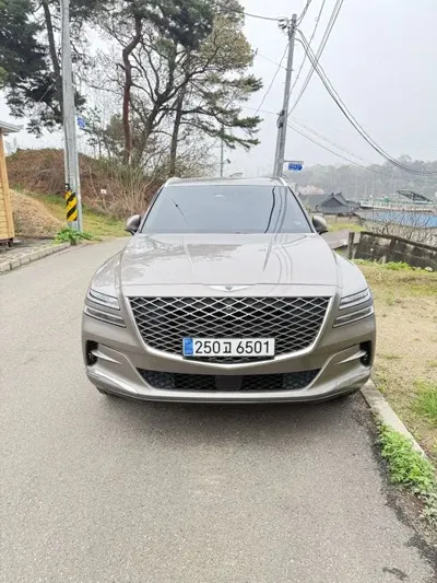 Genesis GV80 2020, 236000 км, за 17657.87 USD