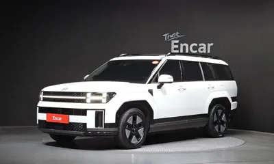 Hyundai Santafe · 2024 год