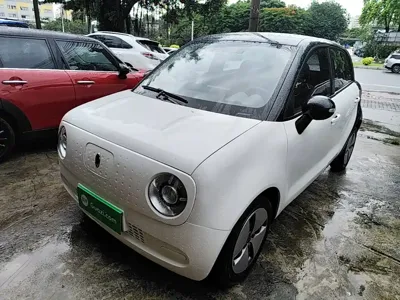 ORA Ora Black Cat 2021, 34000 км, за 5017.56 USD