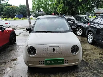 ORA Ora Black Cat 2021, 34000 км, за 5017.56 USD