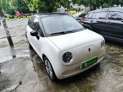 ORA Ora Black Cat 2021, 34000 км, за 5017.56 USD