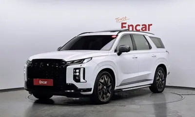 Hyundai Palisade · 2024 год