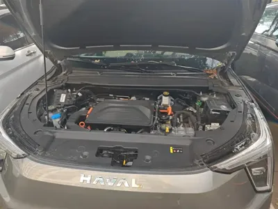 Haval Xiaolong 2023, 23400 км, за 9491.15 USD - фото 10